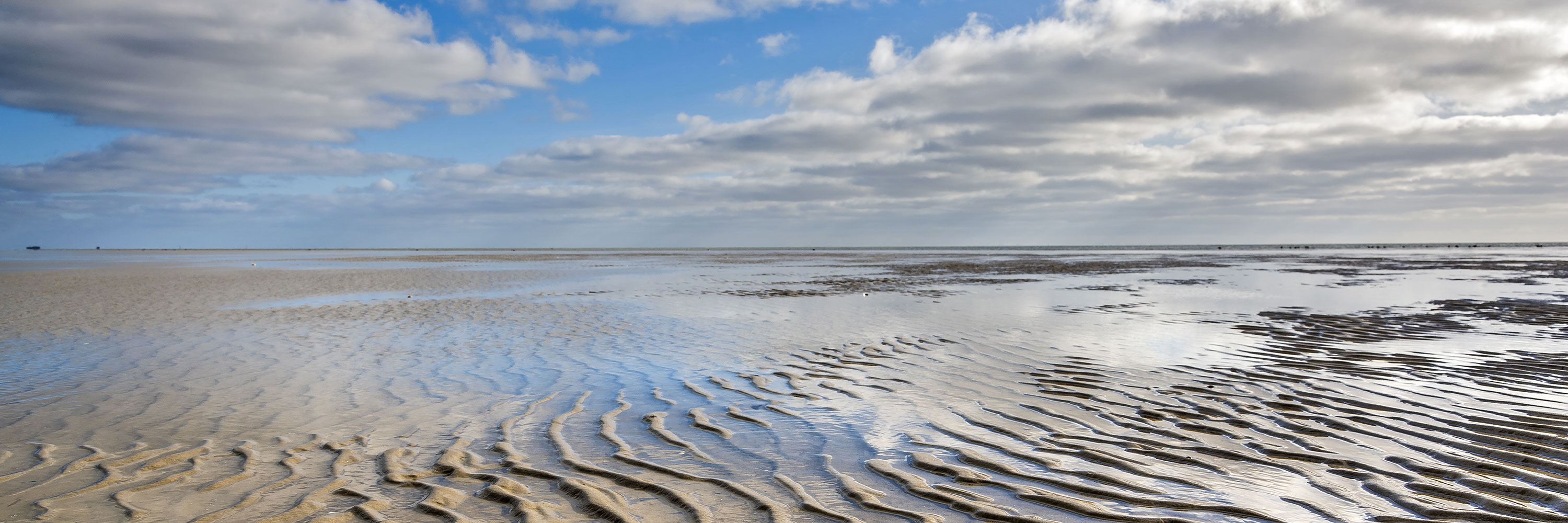 Bild im Watt in Cuxhaven