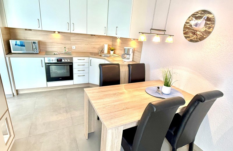 Seemöwe 8 Seemöwe 8